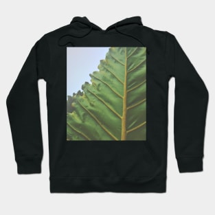 One Big Leaf Hoodie